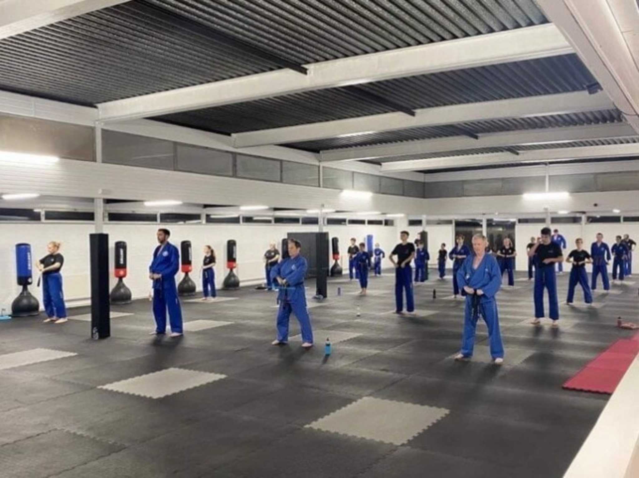 Adult Karate Will Transform Your Life