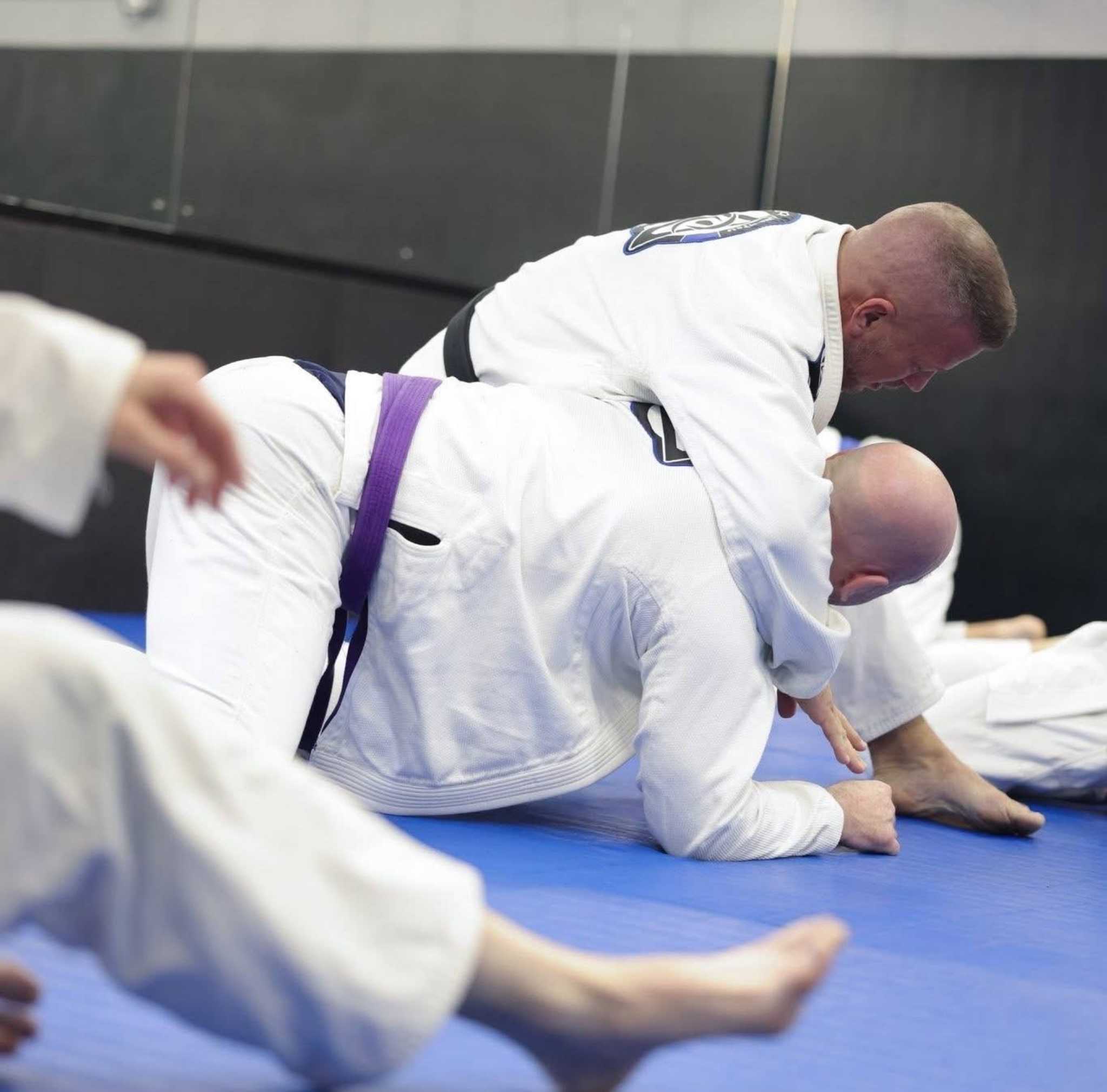 About the Brazilian Jiu-Jitsu Fundamentals Programme — Caernarfon