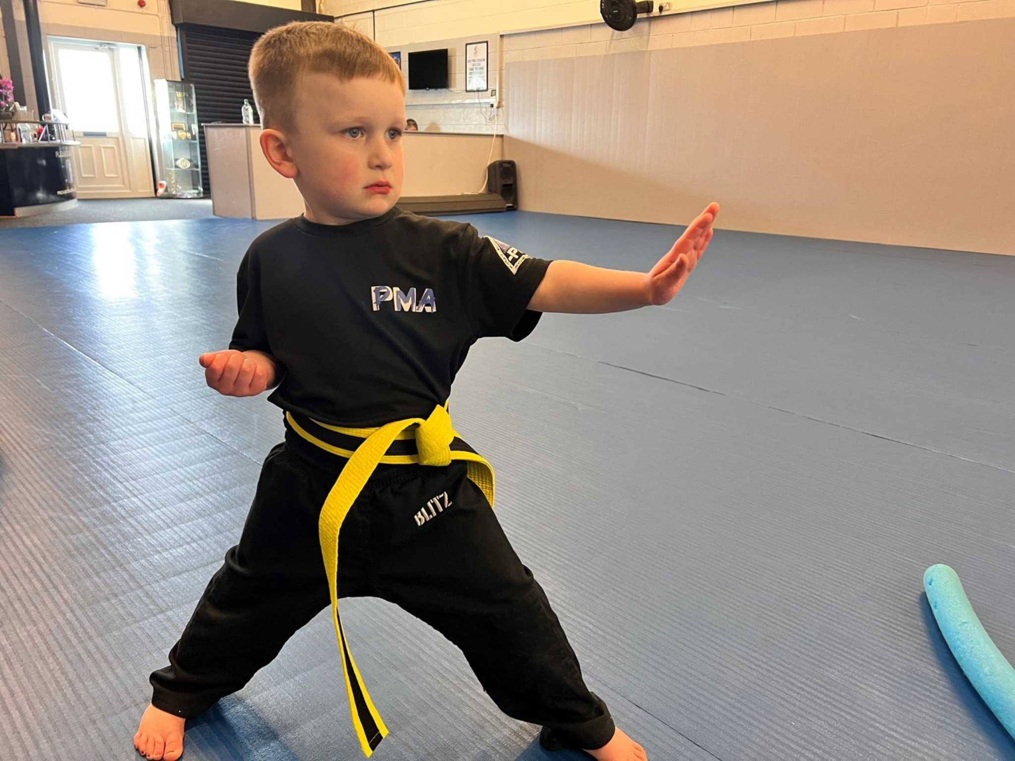 THE ULTIMATE MARTIAL ARTS BLUEPRINT FOR HEALTHY CHILD DEVELOPMENT