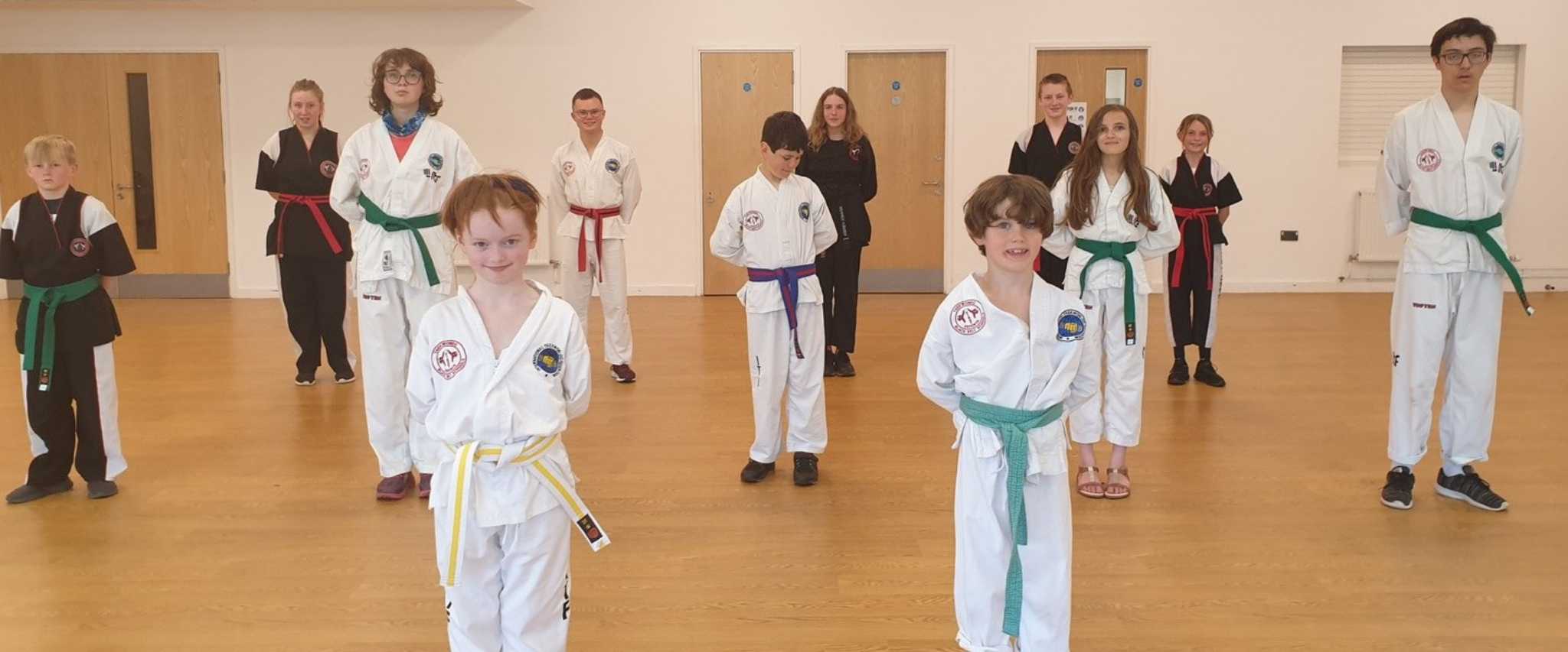 Experience the Many Benefits of Taekwondo